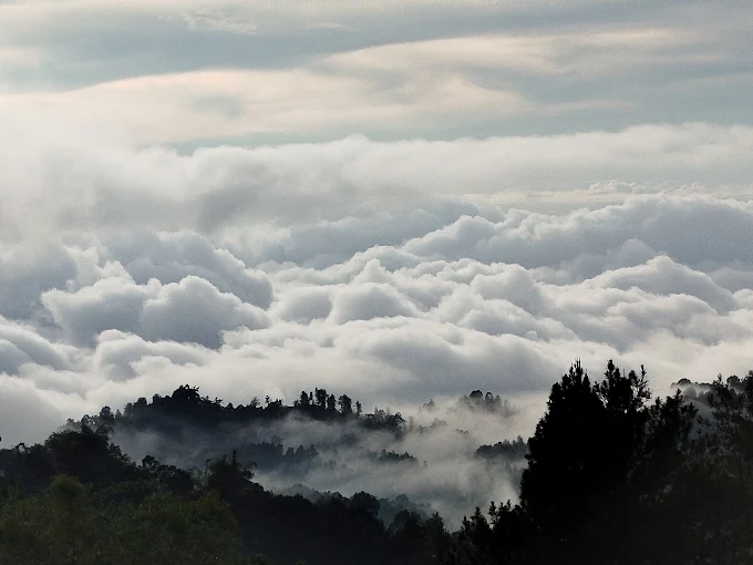 Lautan awan pagi dari villa Batara White House di Lolai, Toraja